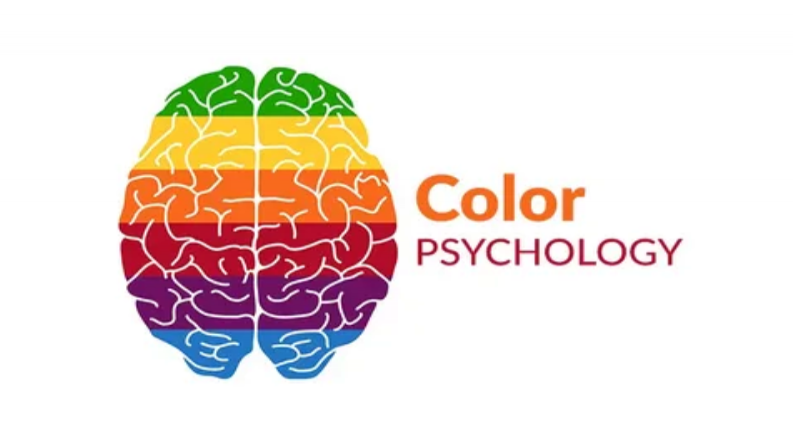 روانشناسی رنگ ها در طراحی لوگو حرفه ای